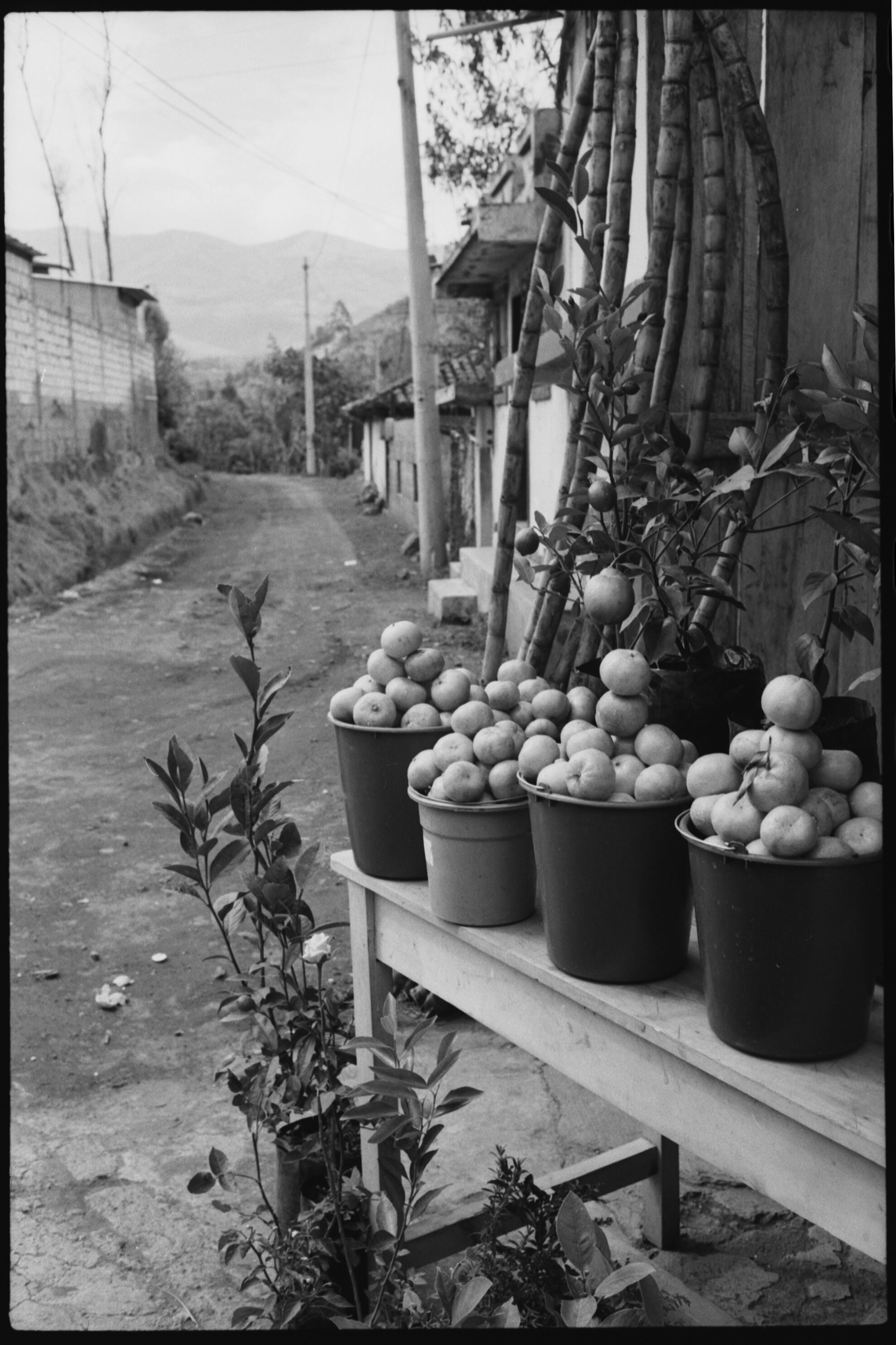 ecuador-september-BW-006.jpg