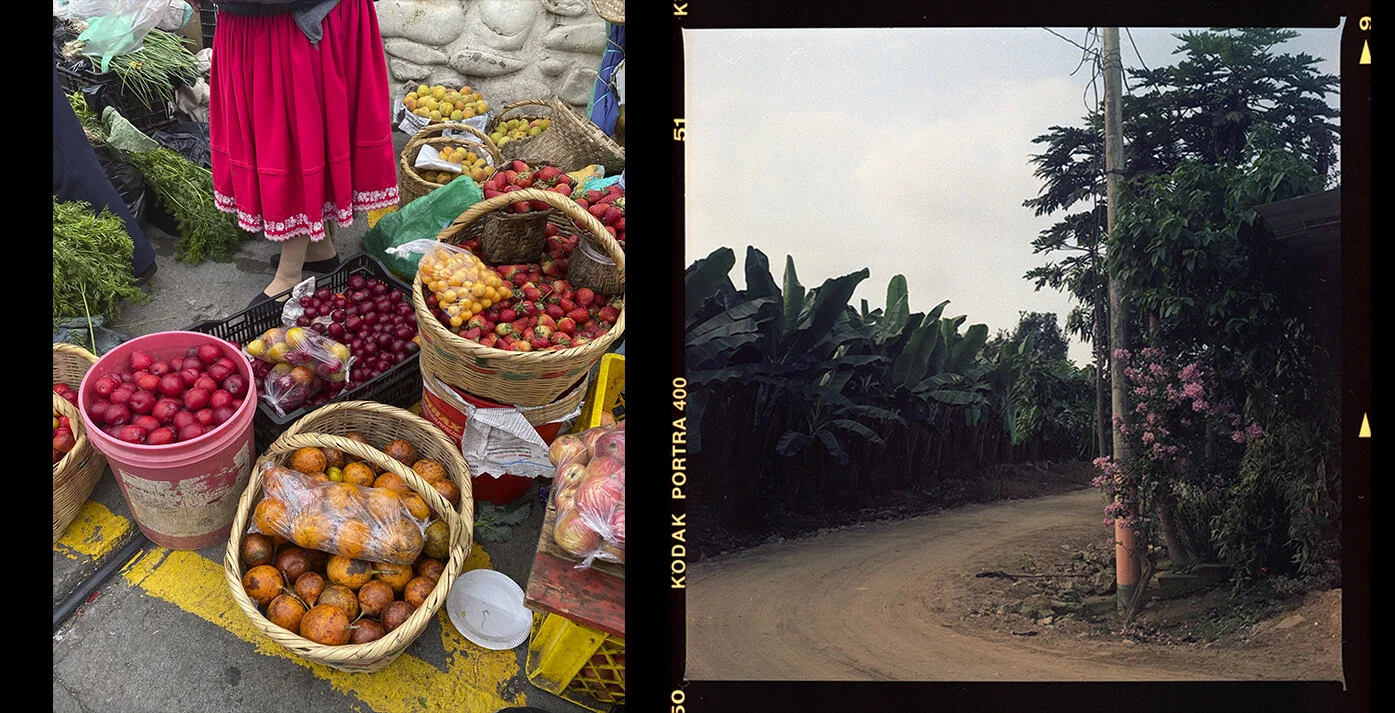 december-roll-B-005-border-thick copy.jpg