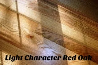 Lt. Character Red Oak Floor.jpg
