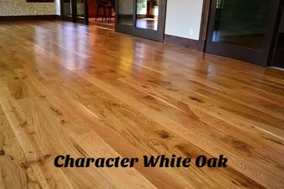 Character White Oak1.jpg