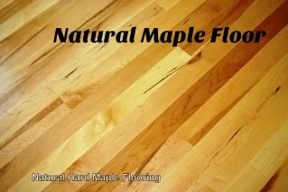 Natural Maple Floor.jpg