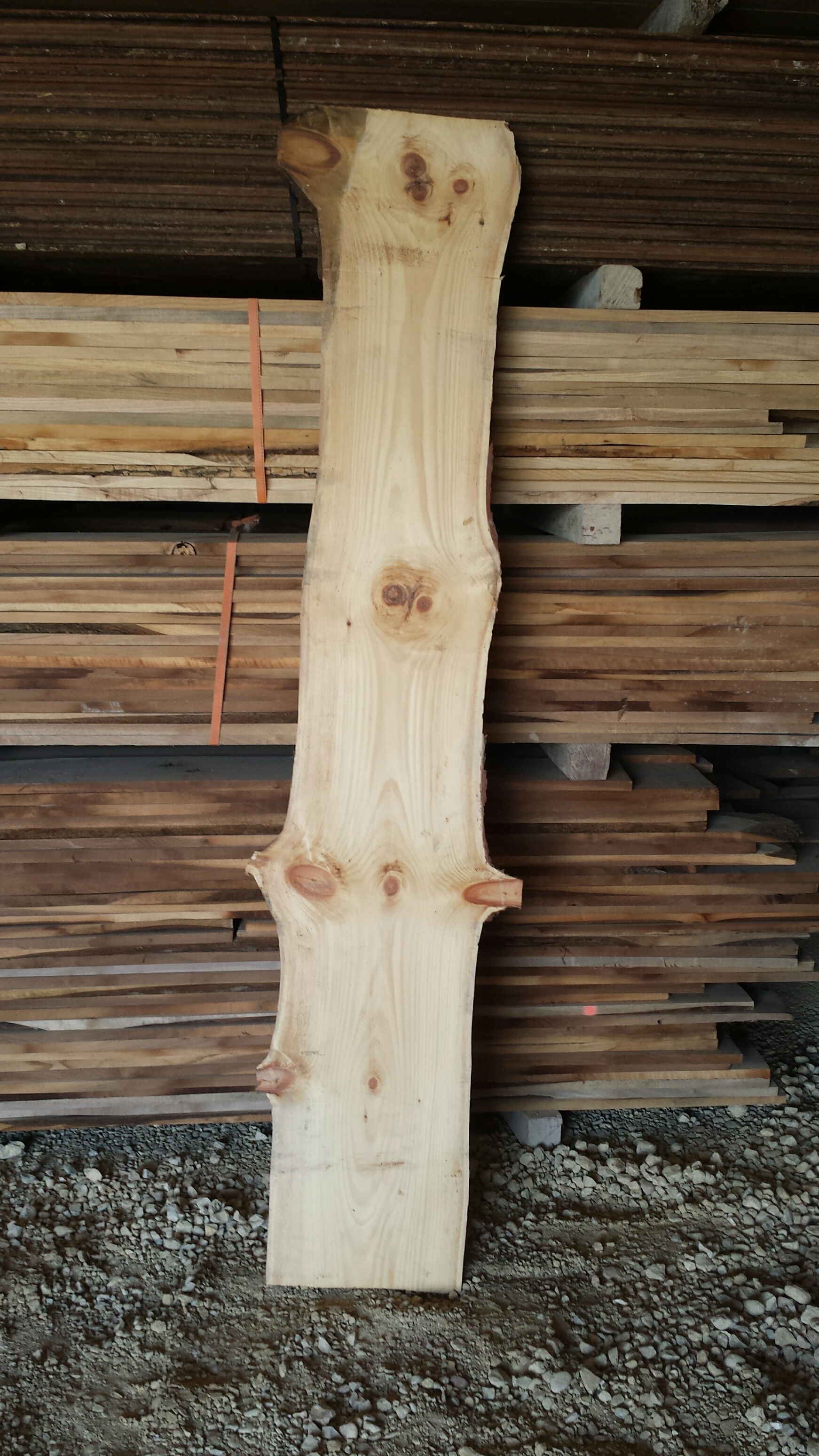 Pine Slab.jpg