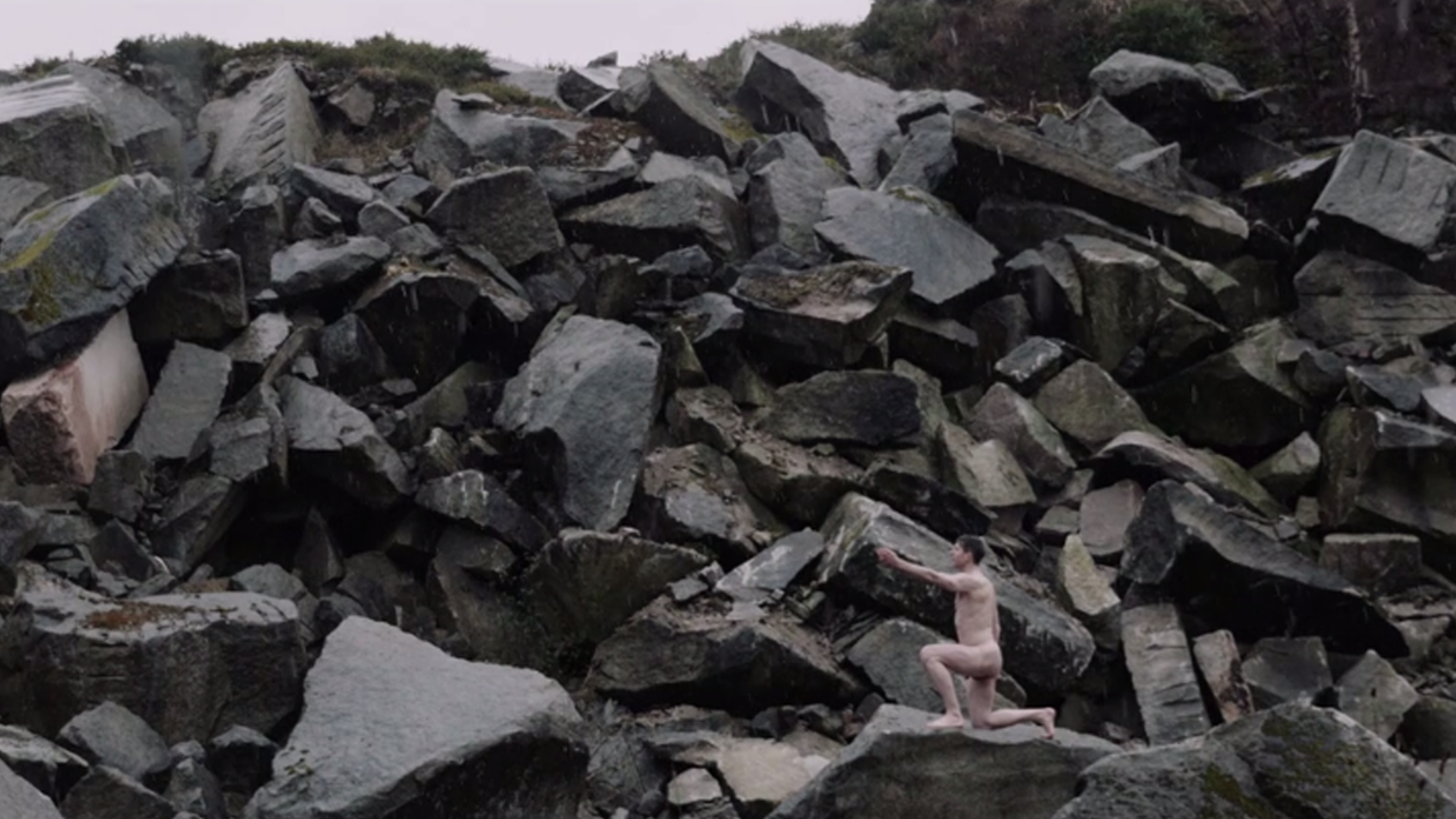Opening Reception - Romance, Regret, and Regeneration in Landscape
