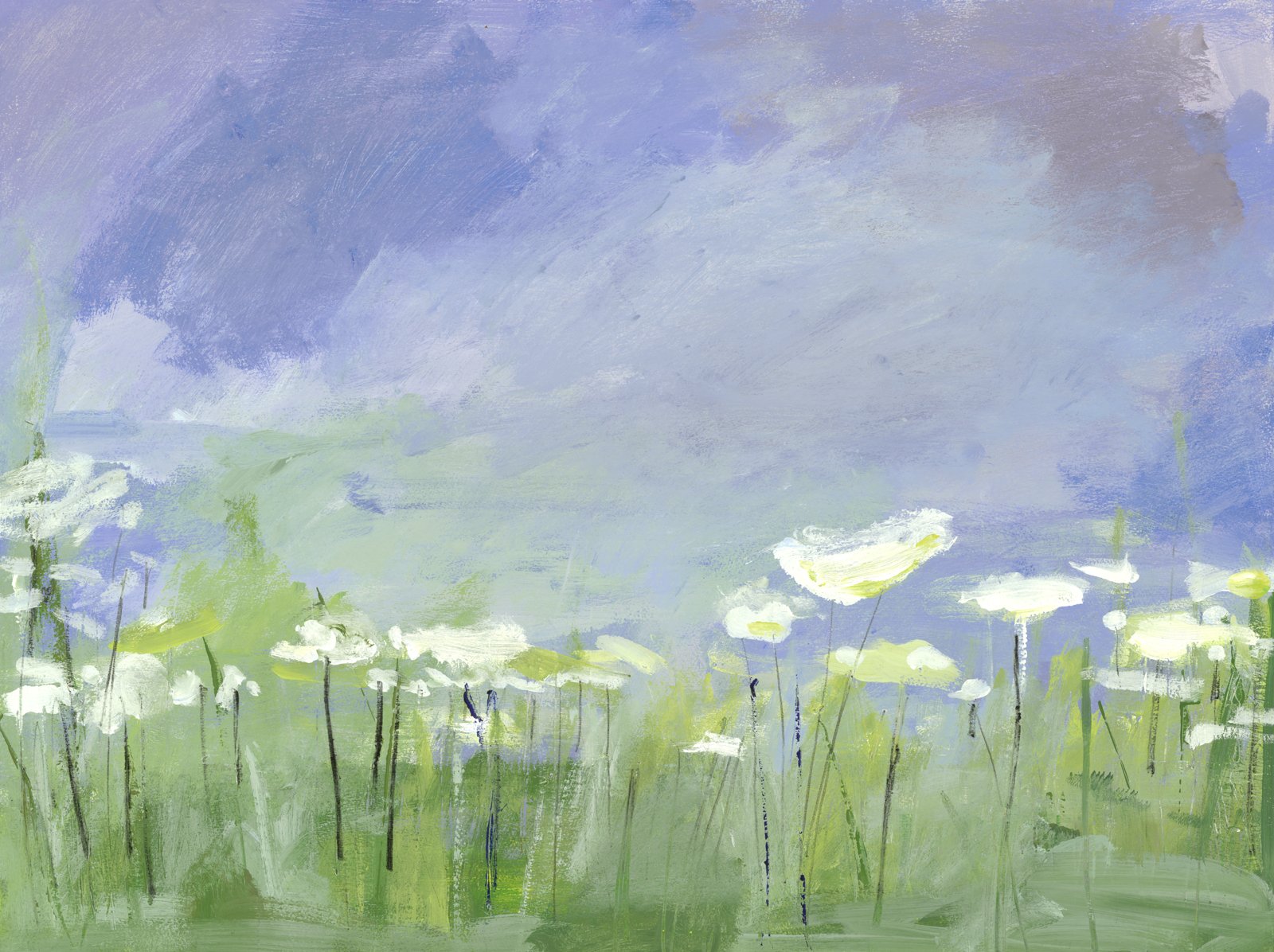 FIELD OF QUEEN ANNE'S LACE 2
Acrylic and Charcoal on Paper
22 x 32 inches