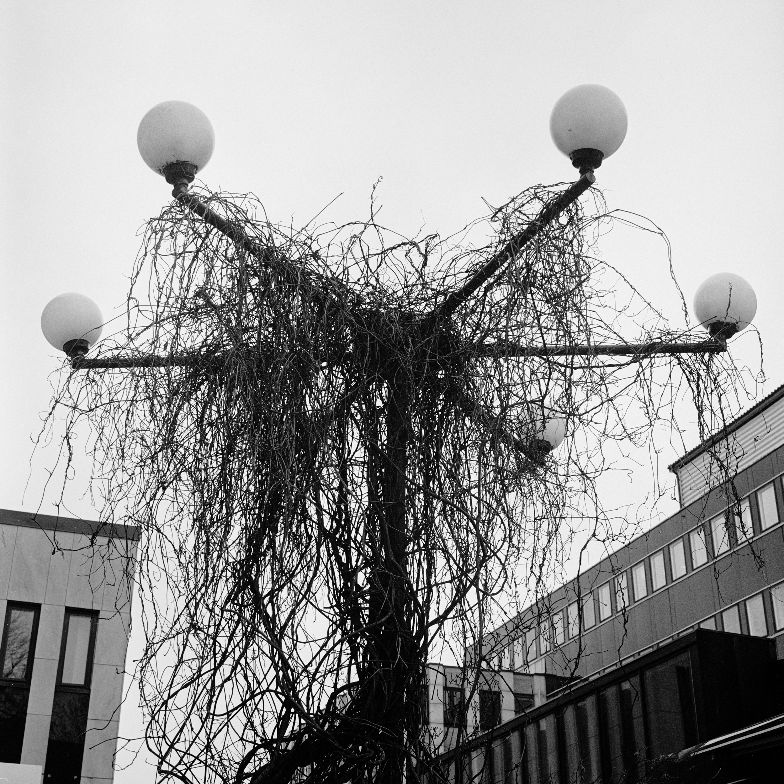 scan 09082003 KLAR.jpg