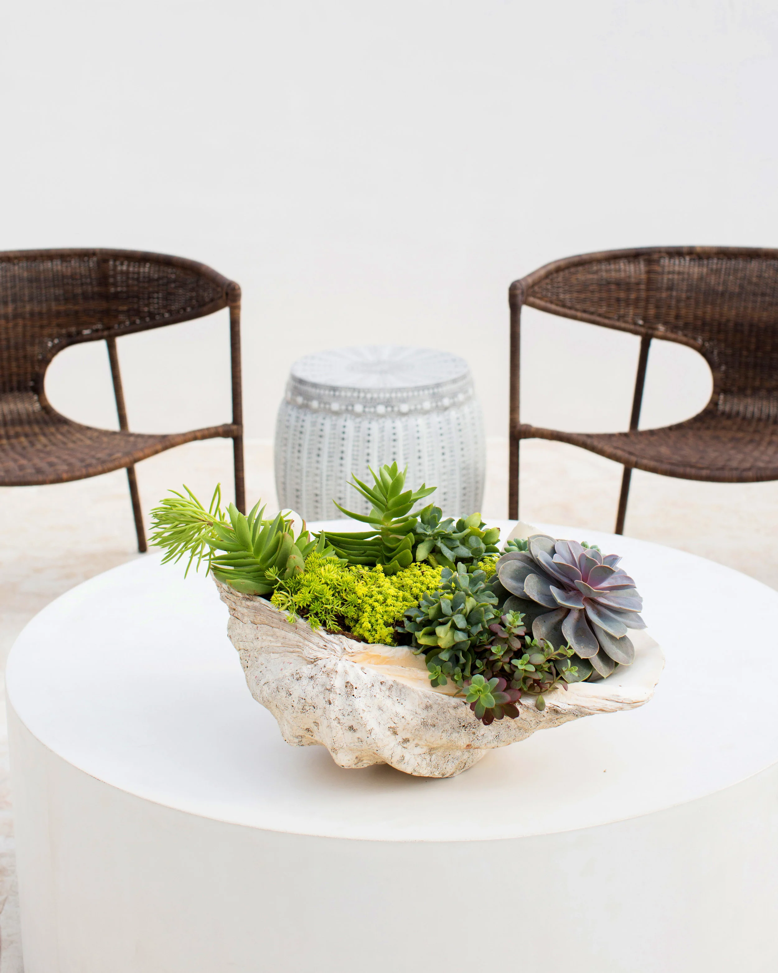 910_Jenkins_Interiors_Alys_r.jpg