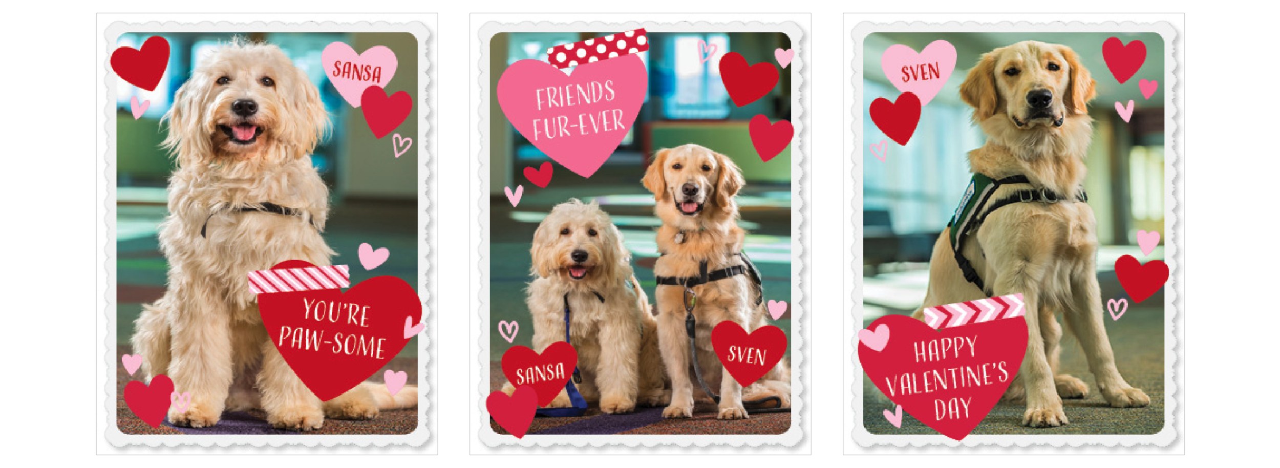 Screen Shot 2019-08-27 at 10.22.35 AM.png