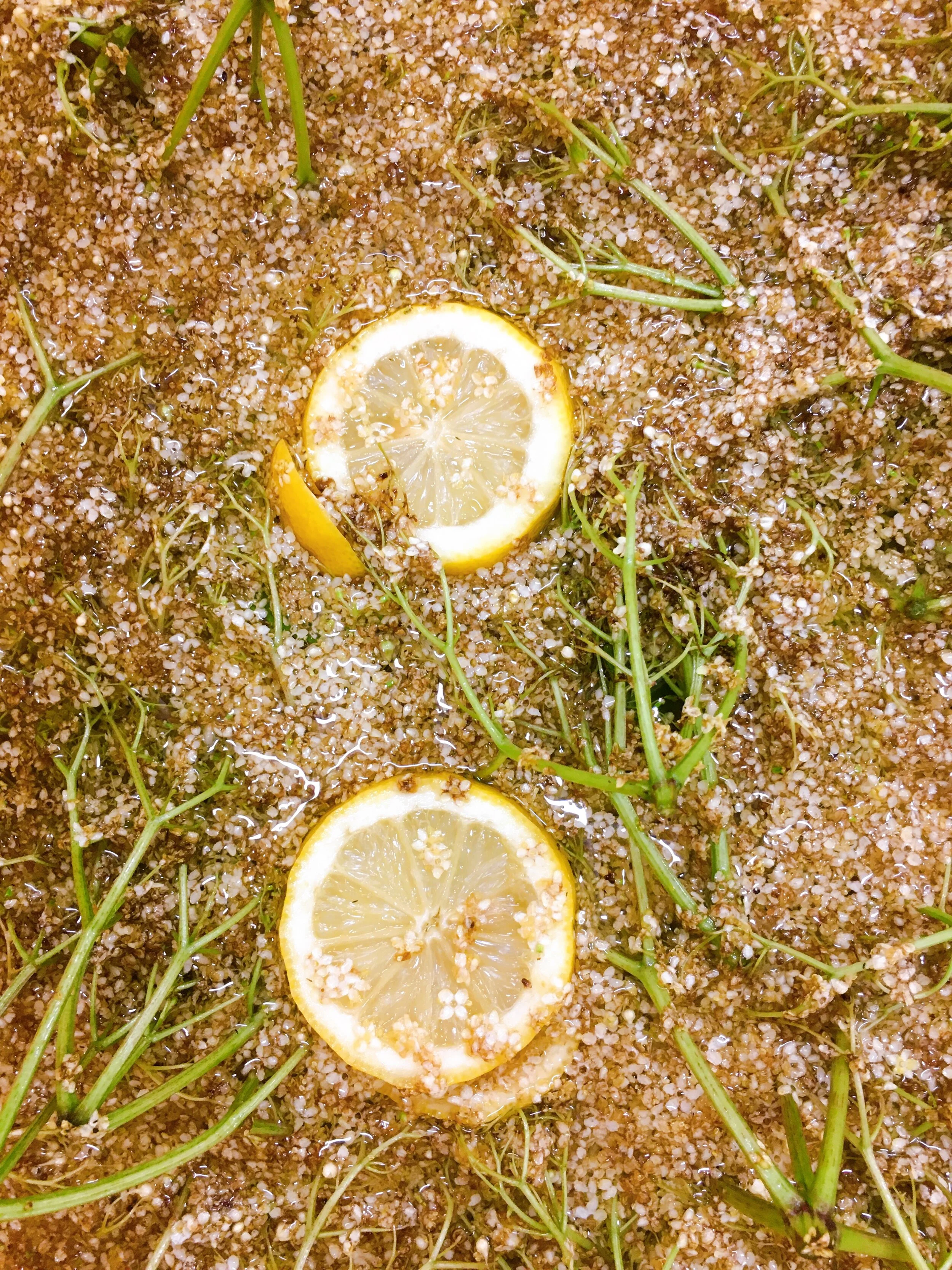 Vlierbloesem limonade