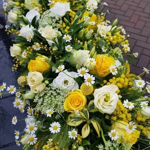 IMG_20210219_164734_368.webp