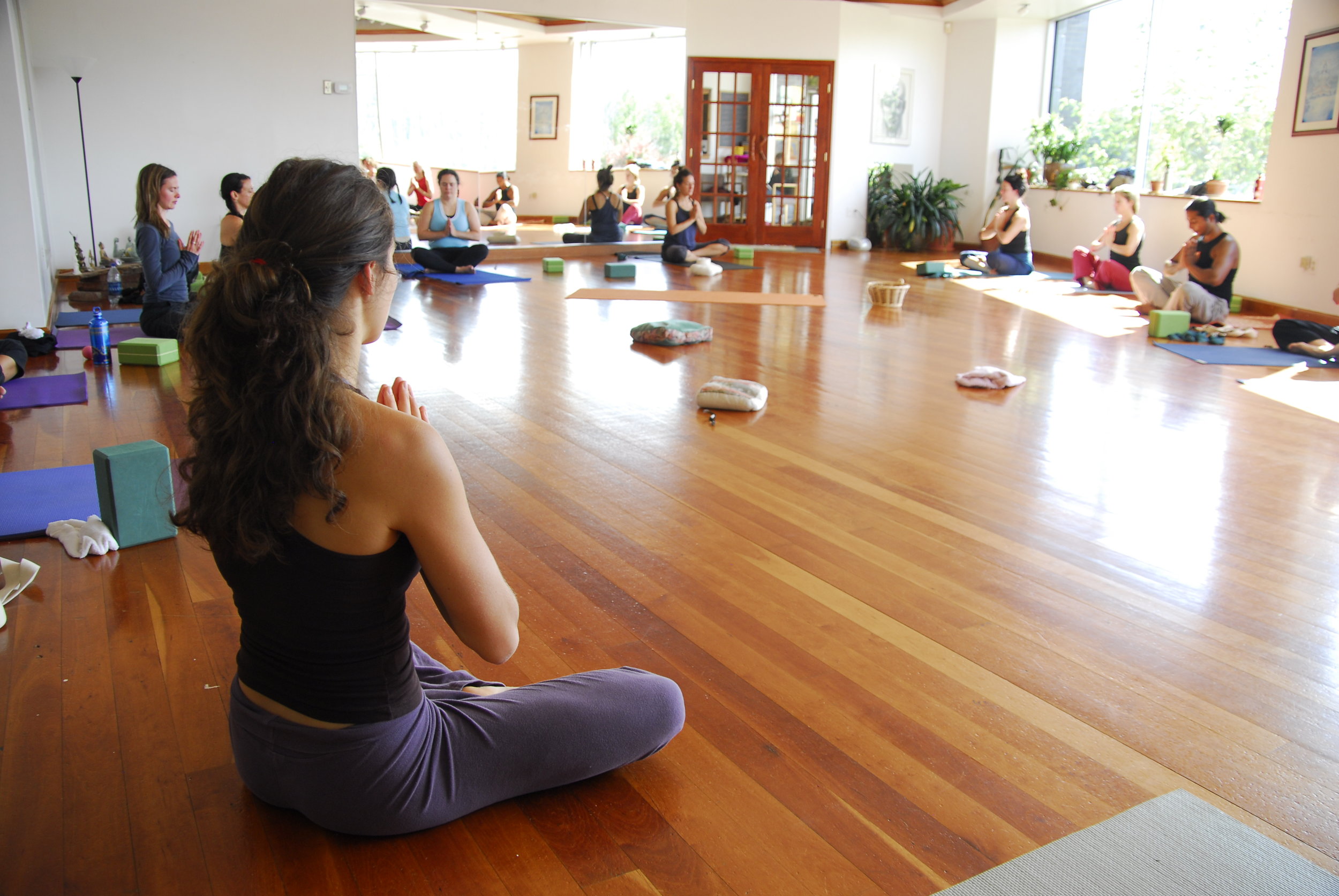 yoga the livingseed new paltz.jpg