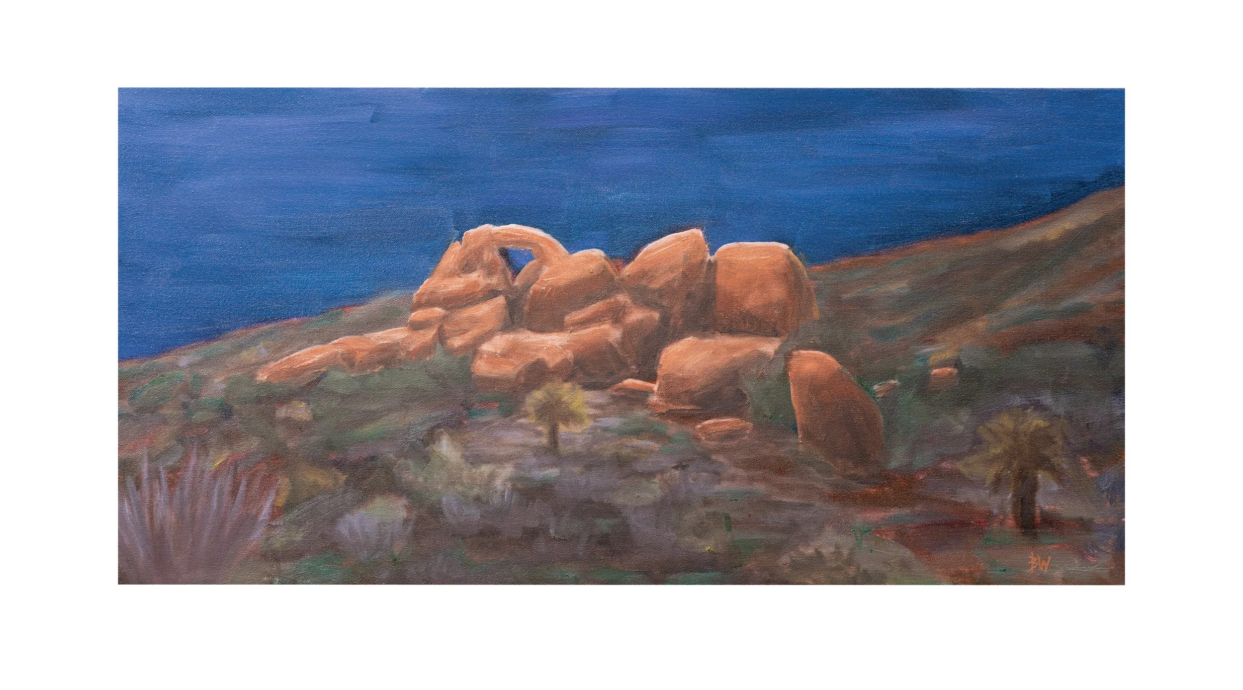 Full Moon Midnight PRINT-1.jpg