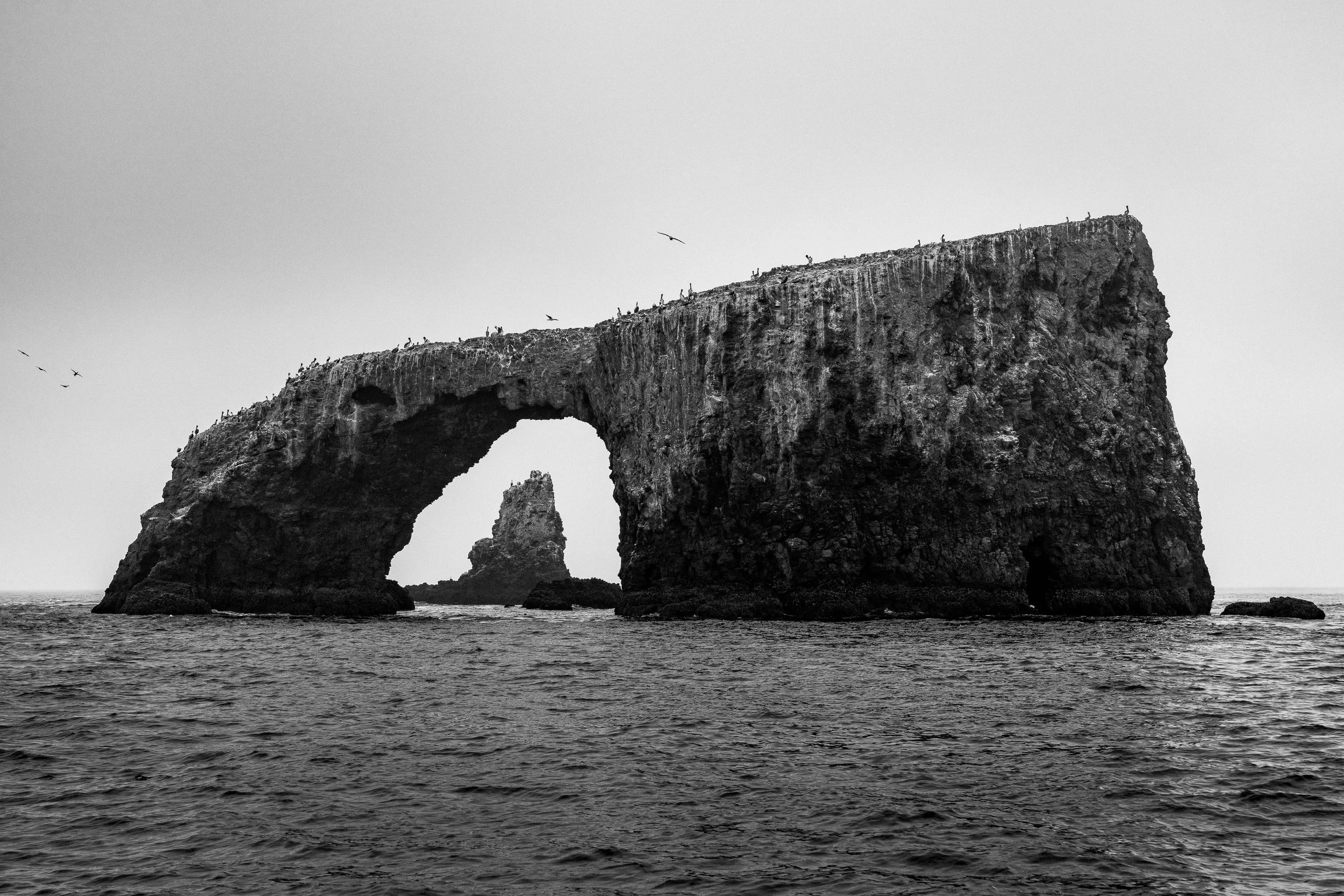 Channel Islands - Anacapa - BW 12 x 18 Print-1.jpg