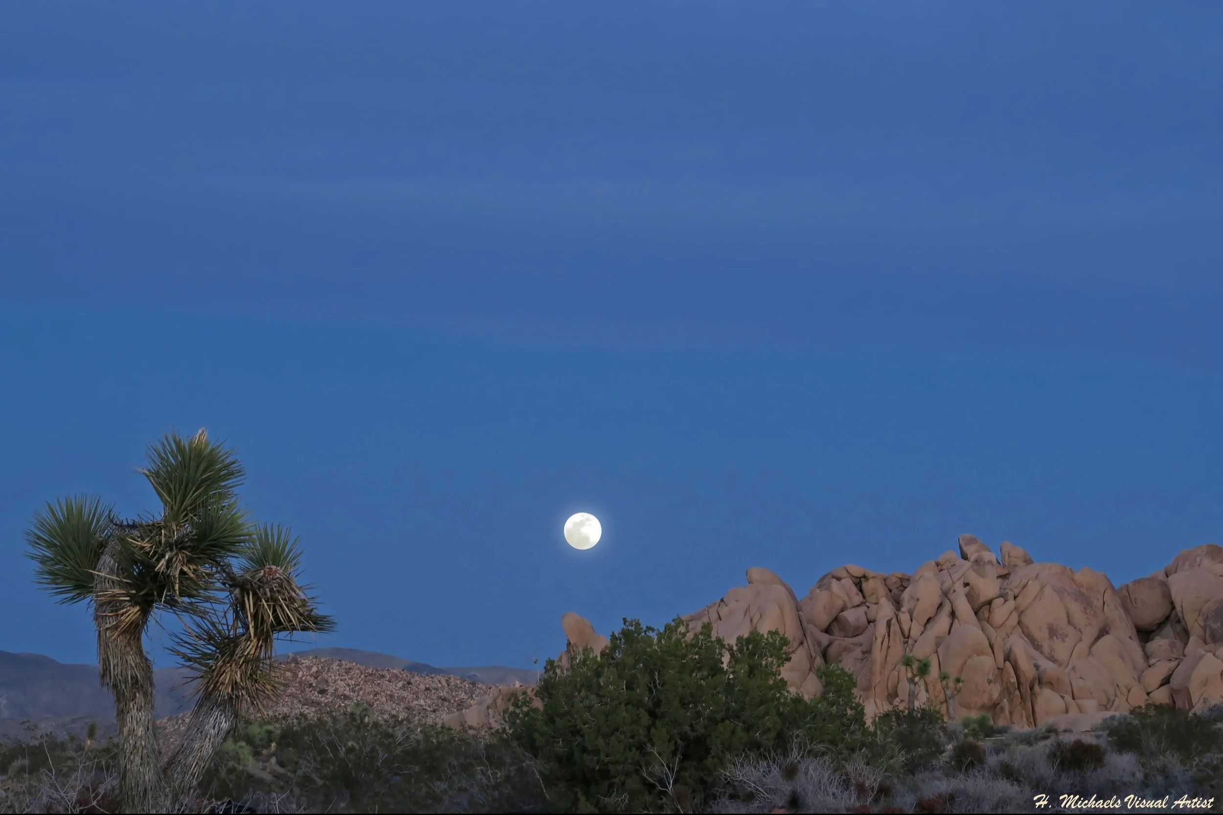 Moonscape Over Joshua Tree National Park (Southern California)
