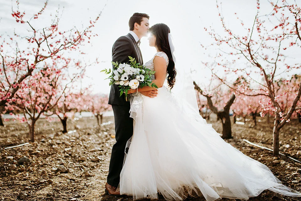 shailynn photography and film utah wedding engagement photographer 29.jpg