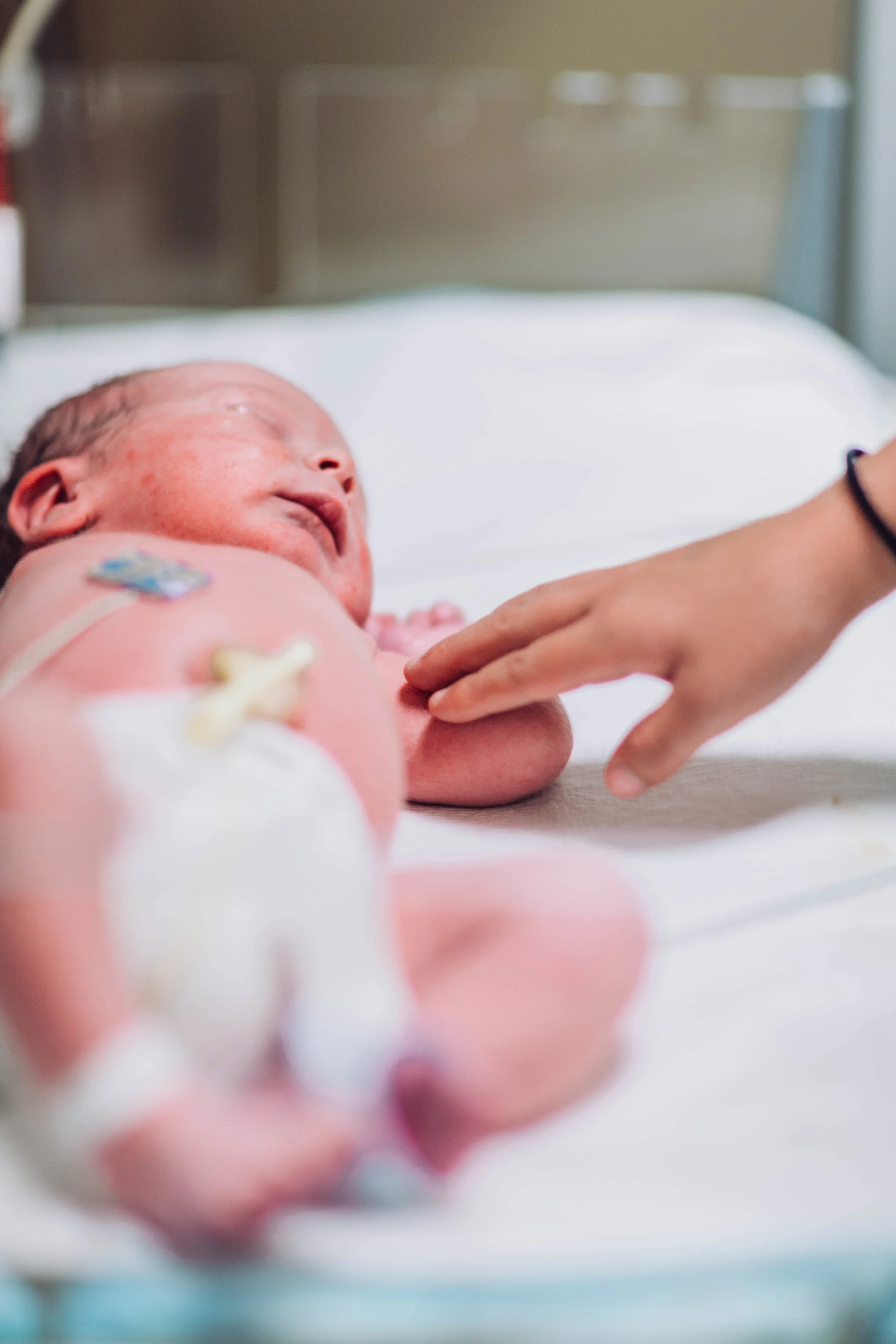 shailynn photography and film utah newborn and birth photos 8.jpg