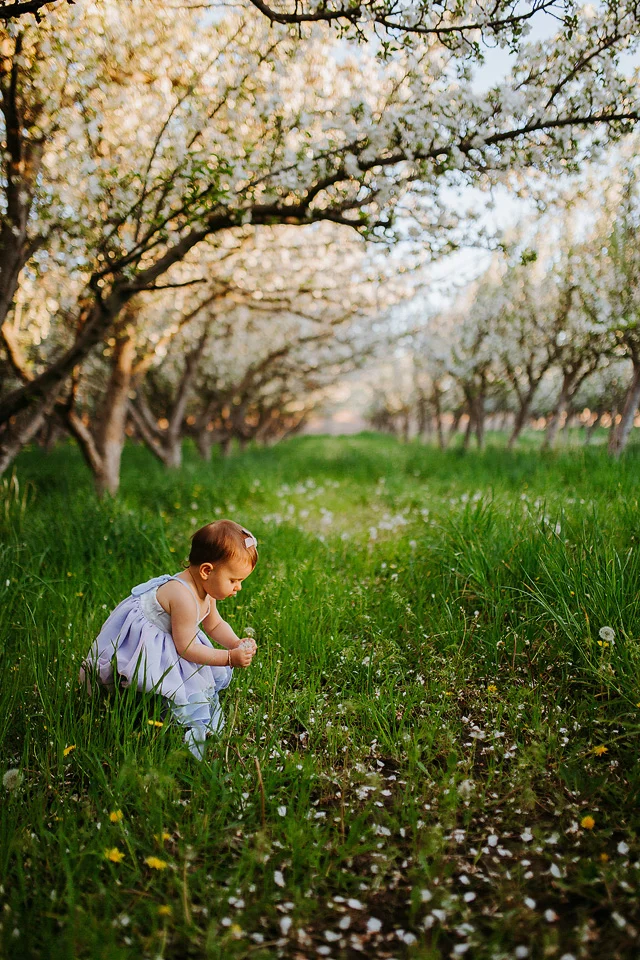 Spring Blossom Sessions: ShaiLynn photo + Film26.jpg