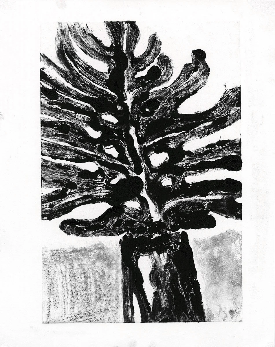 Monstera •
2019 •
Monotype
