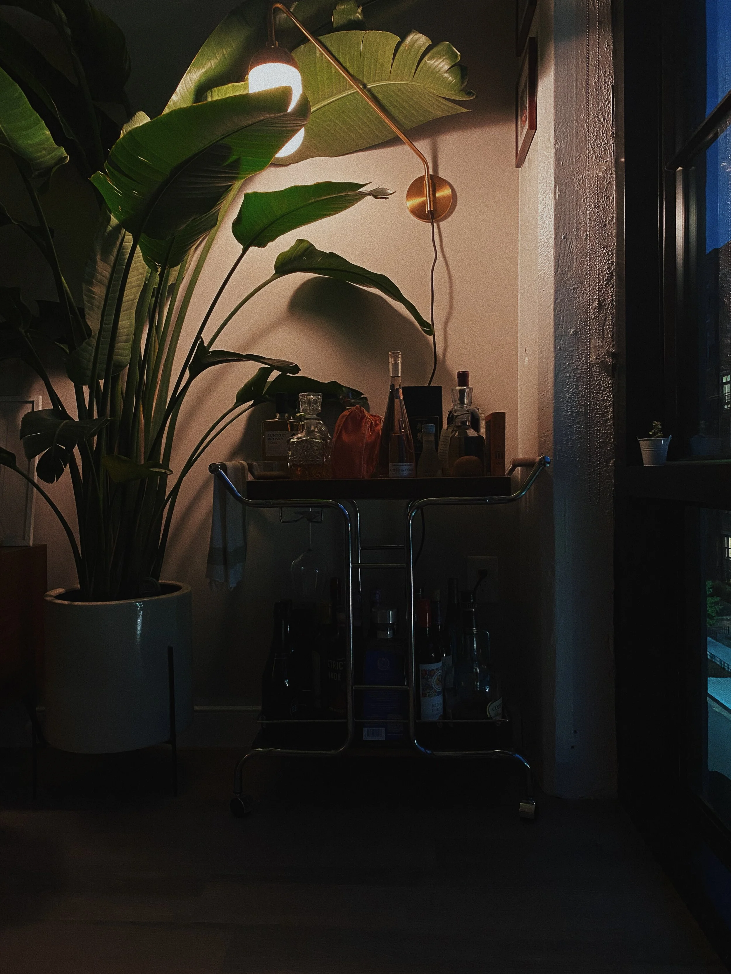 2019 - iPhone 11 Pro