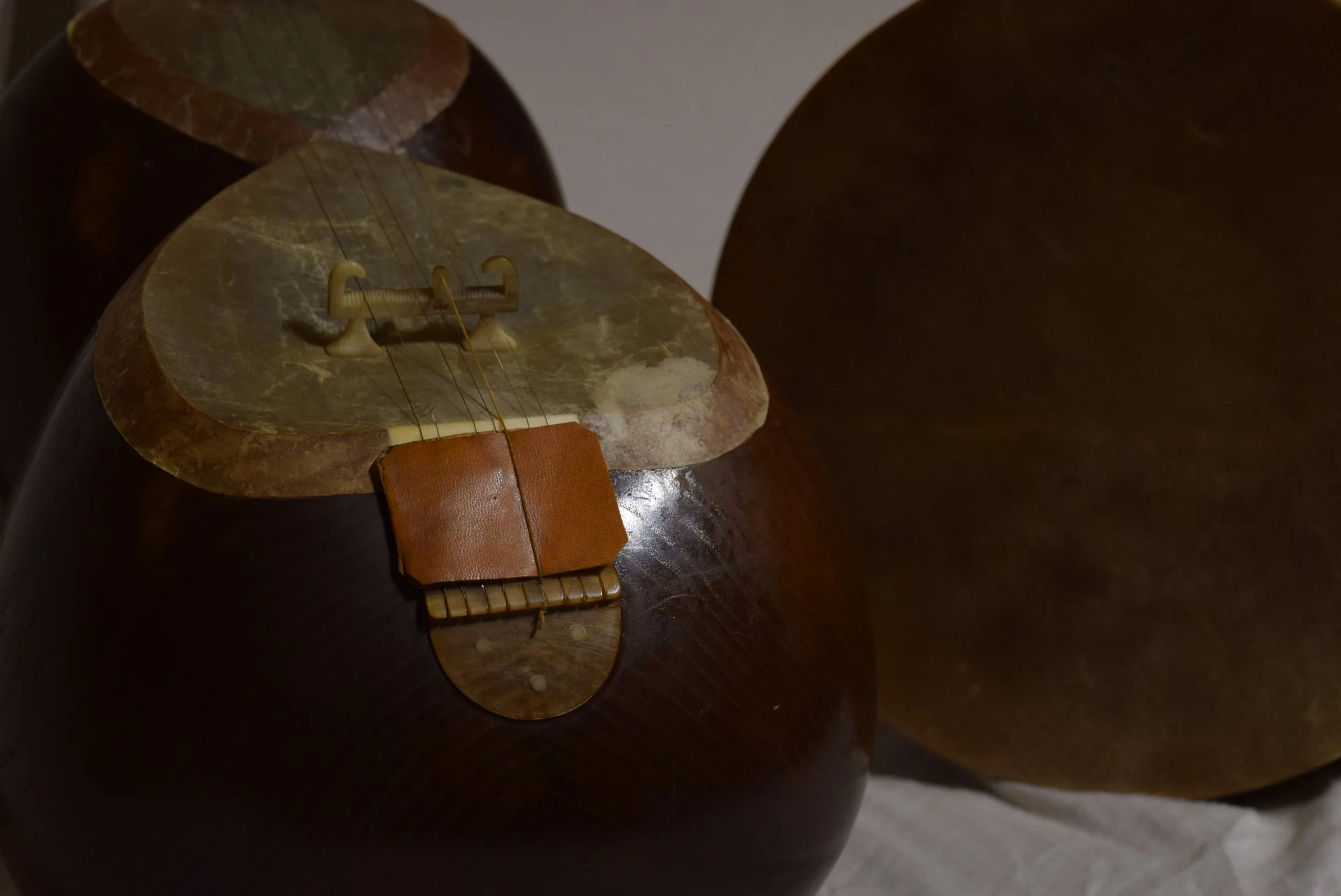 Tar Strings Heal Depression: How Persian Melodies Rewire the Brain and Lift the Spirit