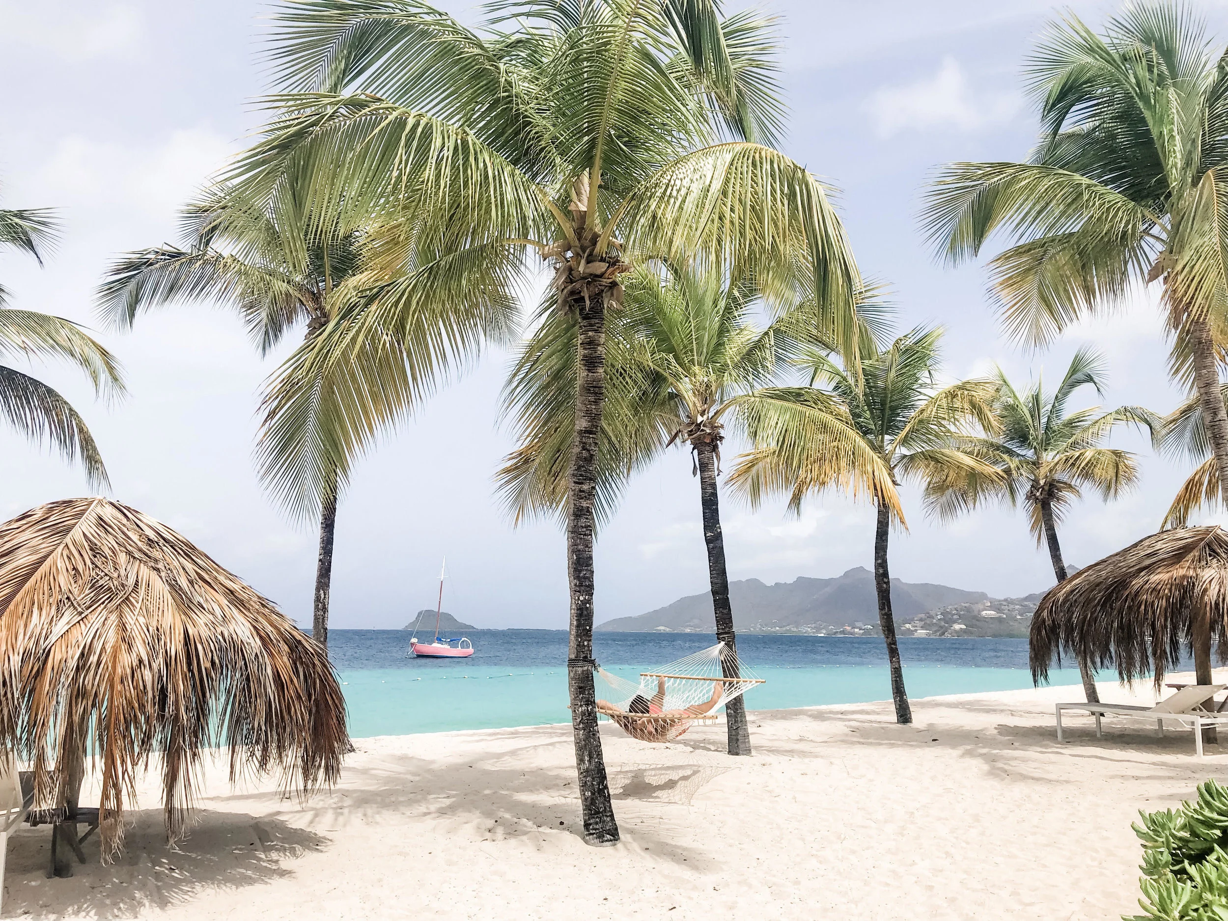palm island33.jpg