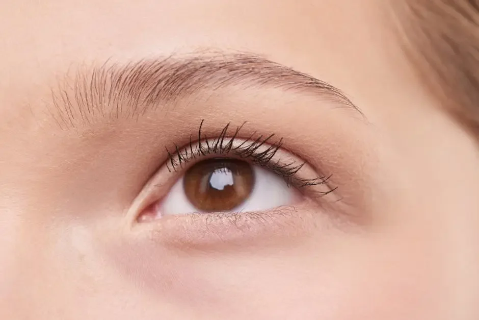 How Often Should I Get My Eyebrows Tinted?