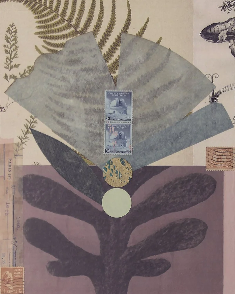 Flora_Study-5_web.jpg