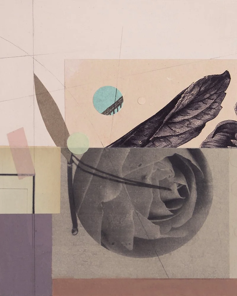 Flora_Study-6_web.jpg