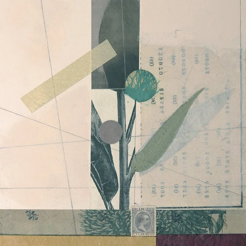 Flora_Study-8_square.jpg