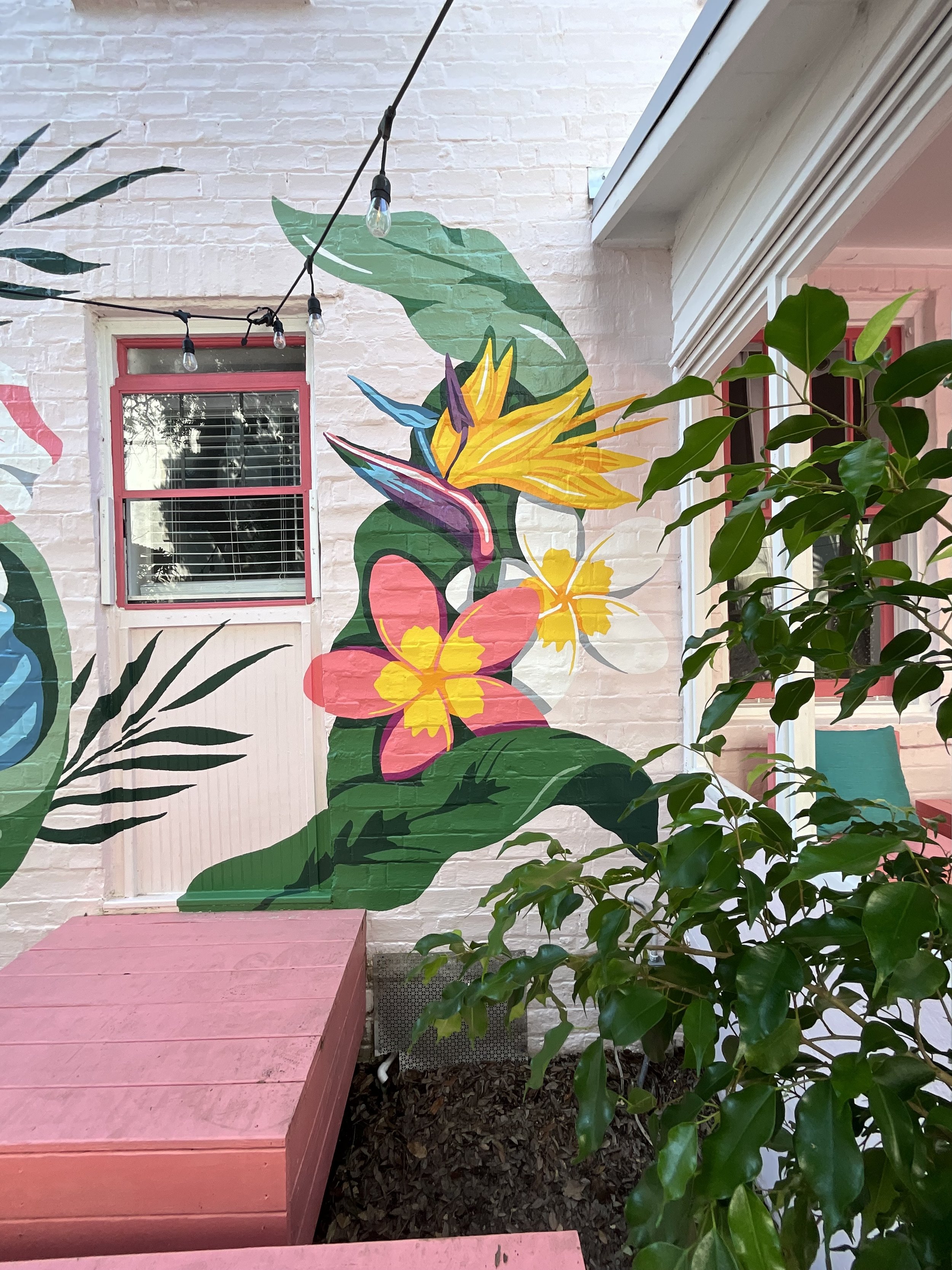 AirBnBs & Rentals