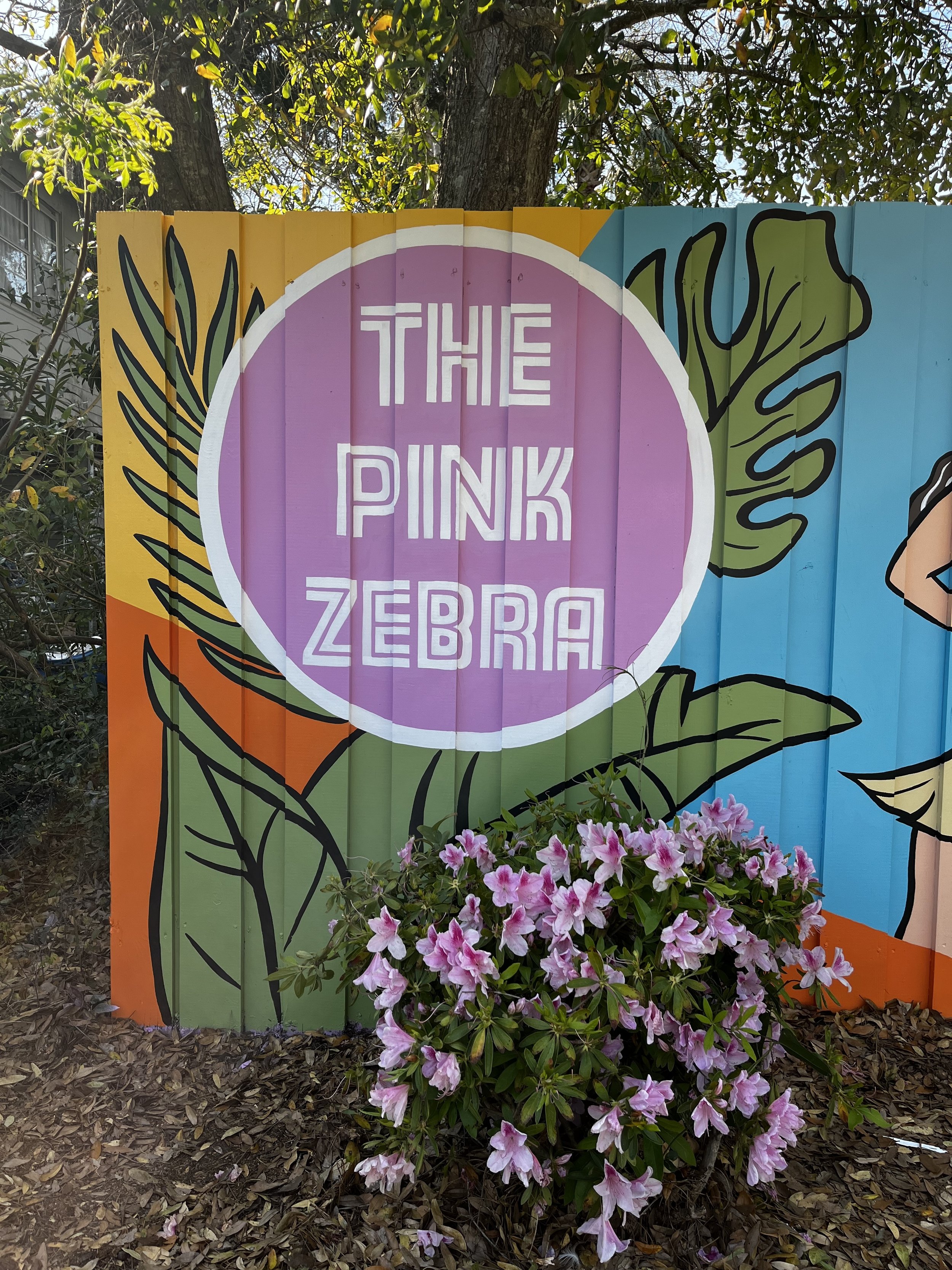 pinkzebra.jpg