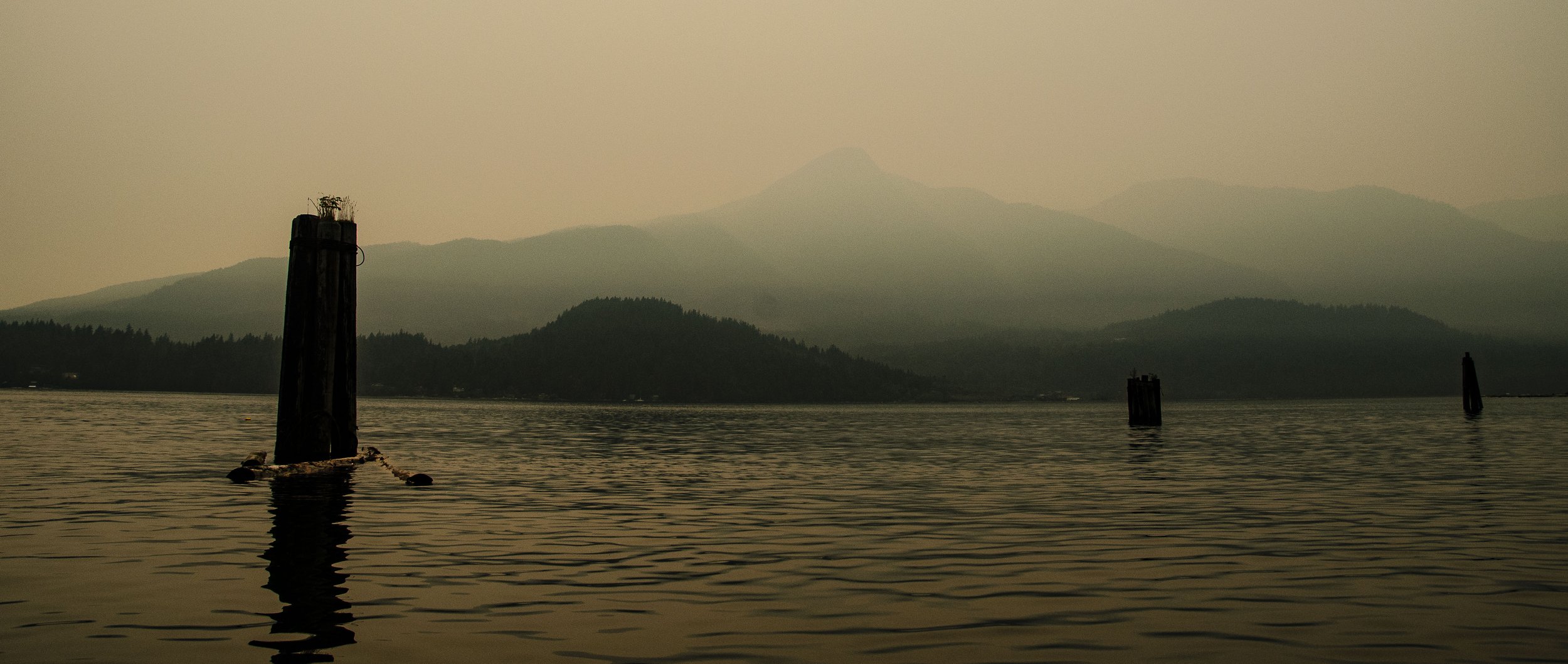 DSC_0776.jpg