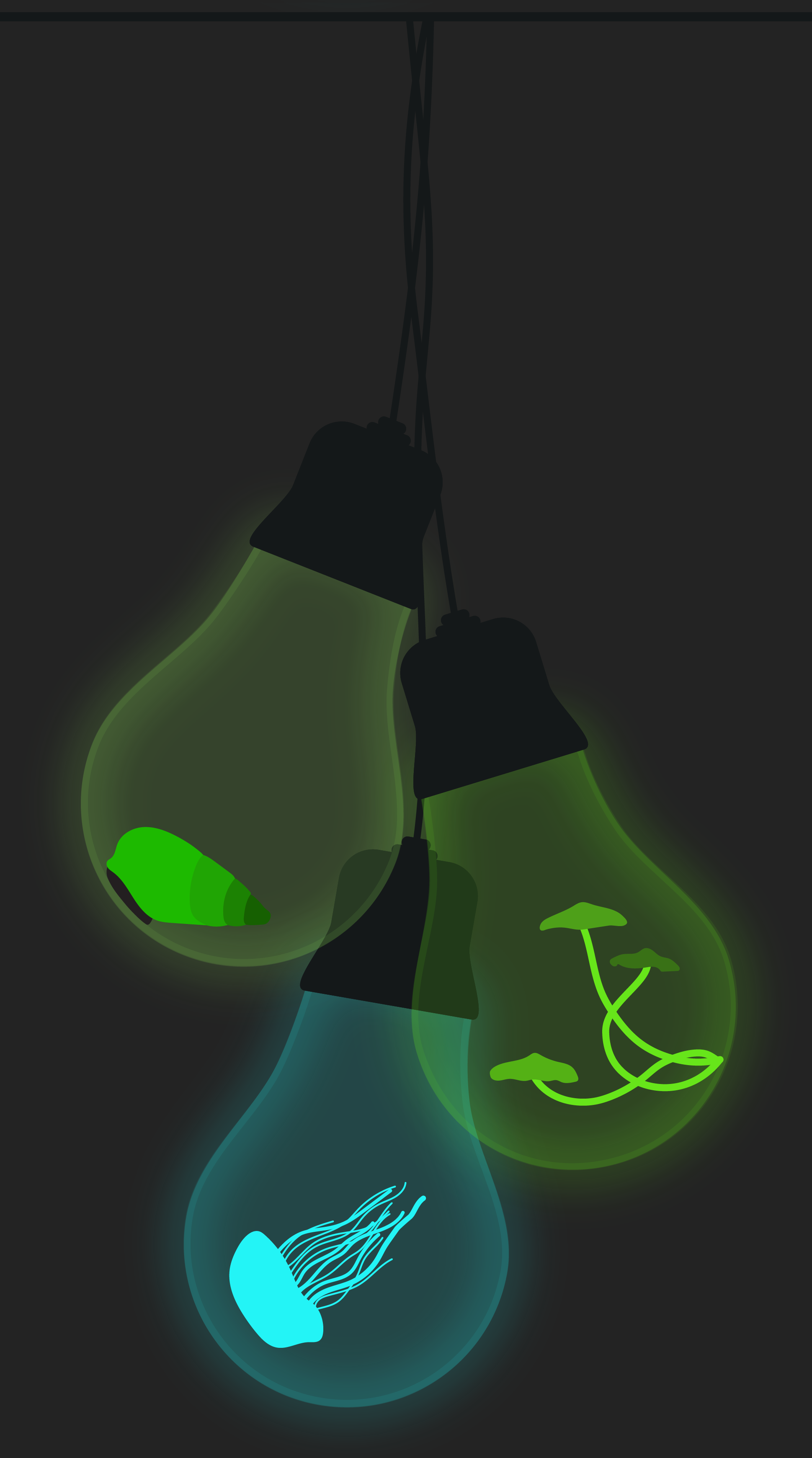 lamps4.png
