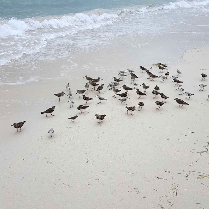 keywest.JPG