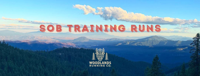 SOB Training Run #2