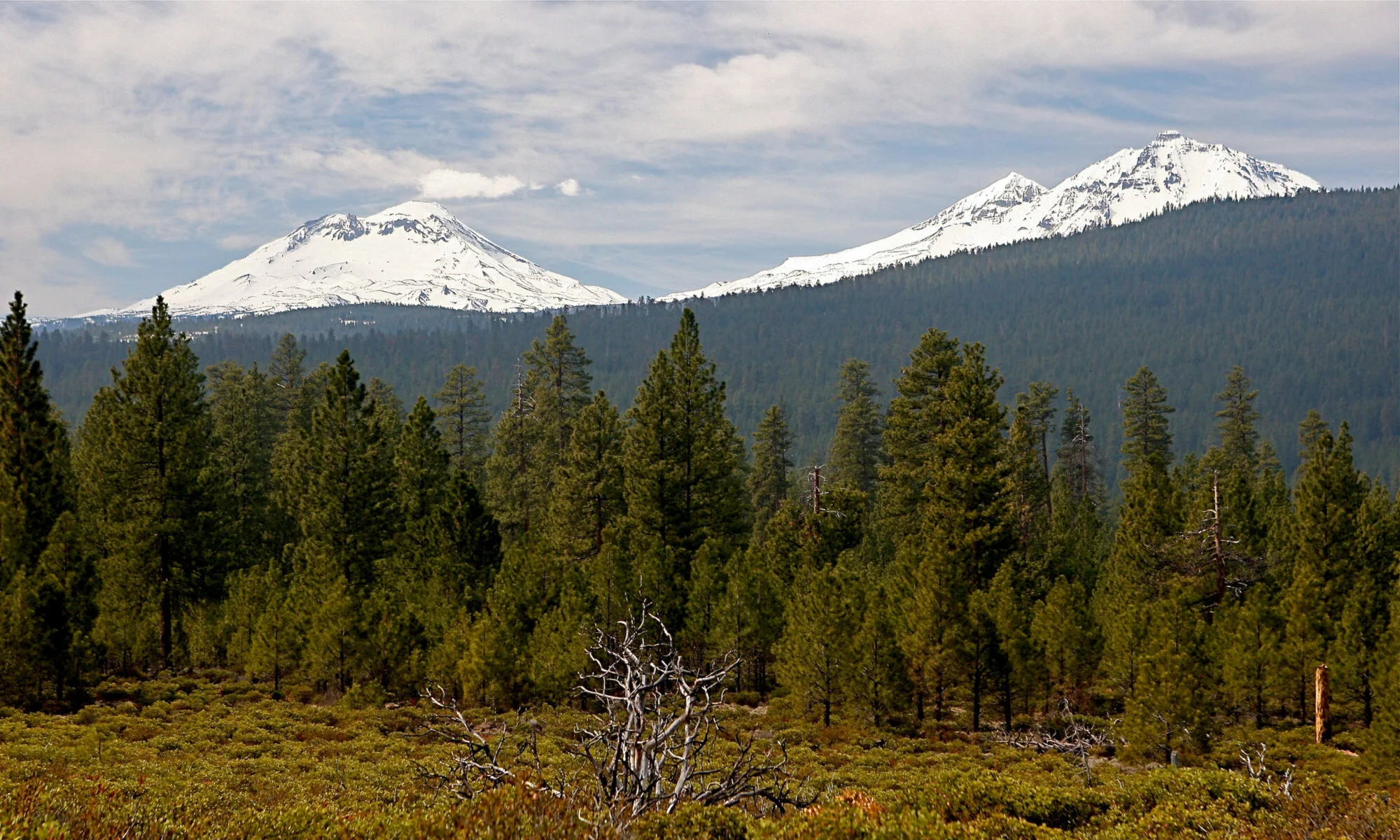 Peterson Ridge Rumble