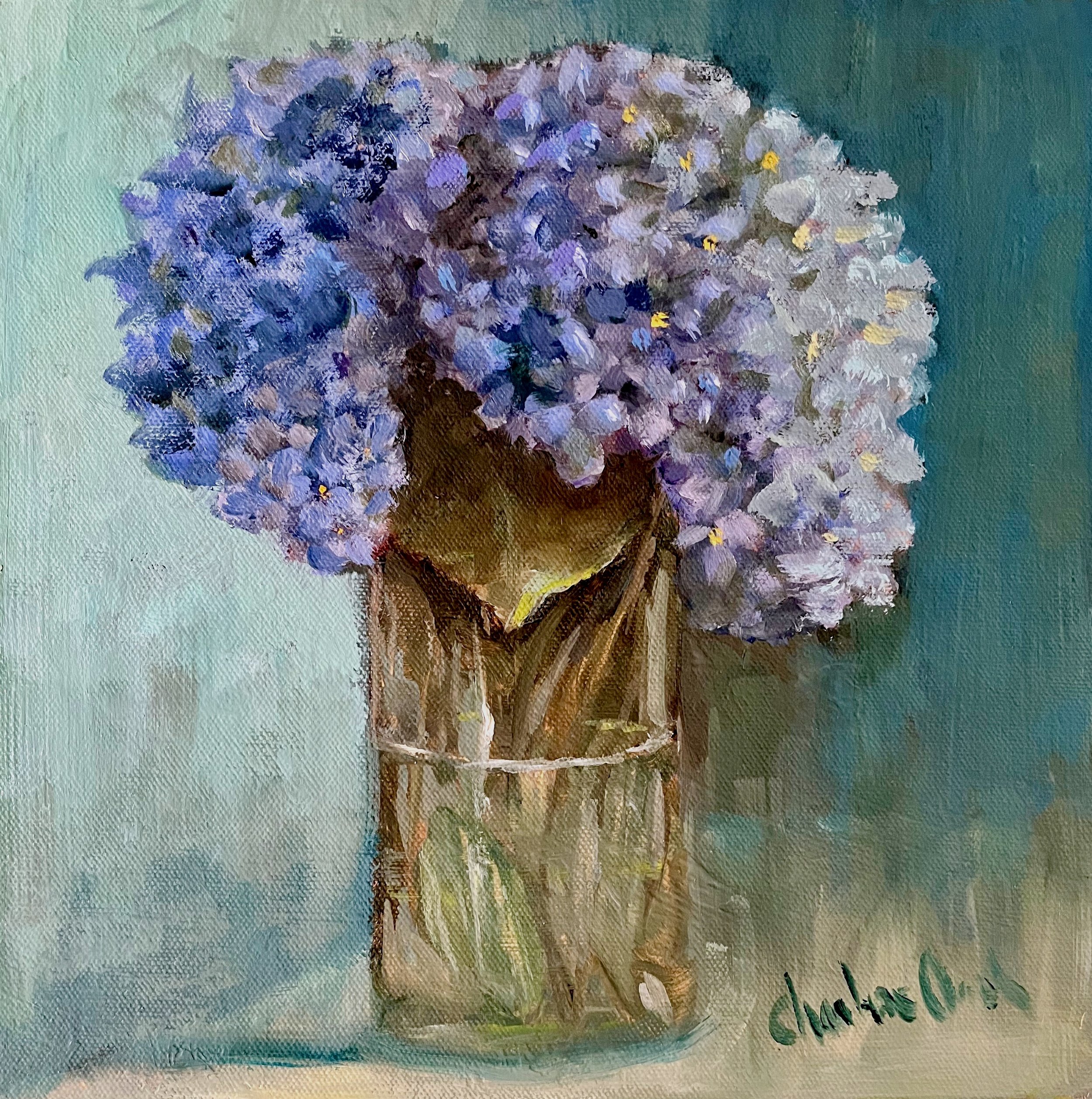 Hydrangeas West Side