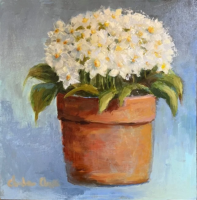 White Primrose Encore