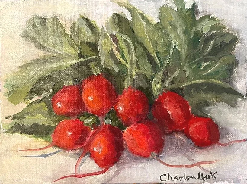 Radish Harvest