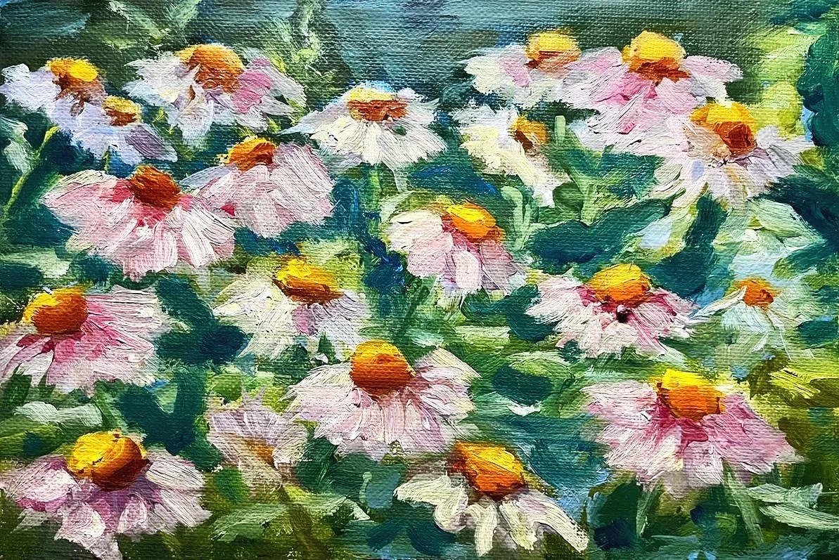 Cone Flowers of Silence