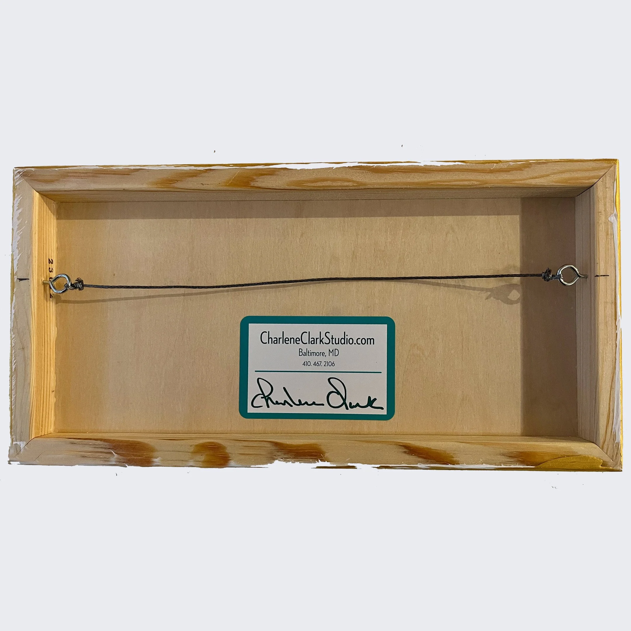 Last Tomato backjpeg.jpeg