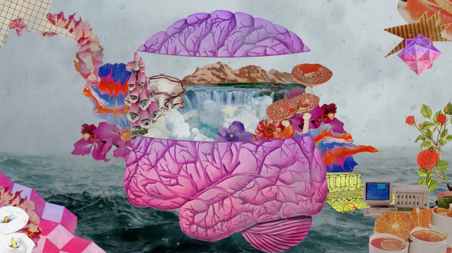 Butterfly in a Blizzard, 2025