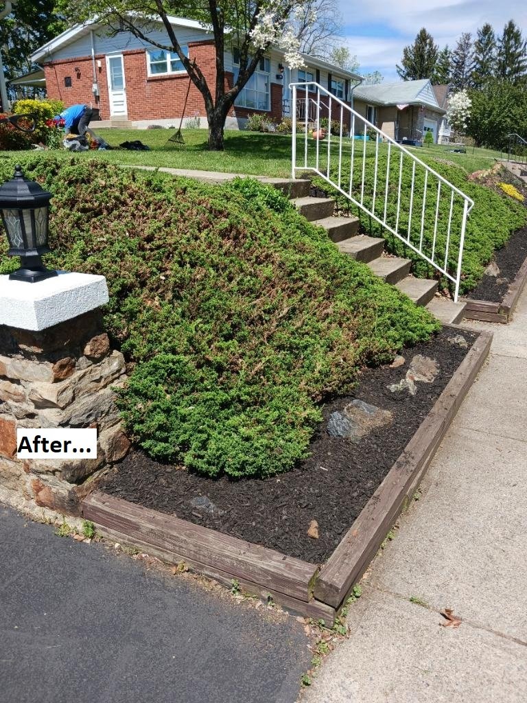 Front Bed After.JPG
