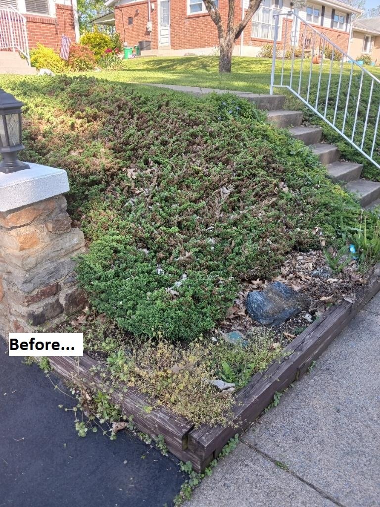 Front Bed Before.JPG