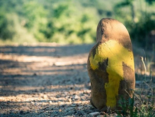 The Journey of Intentional Grieving: Naming Your Losses