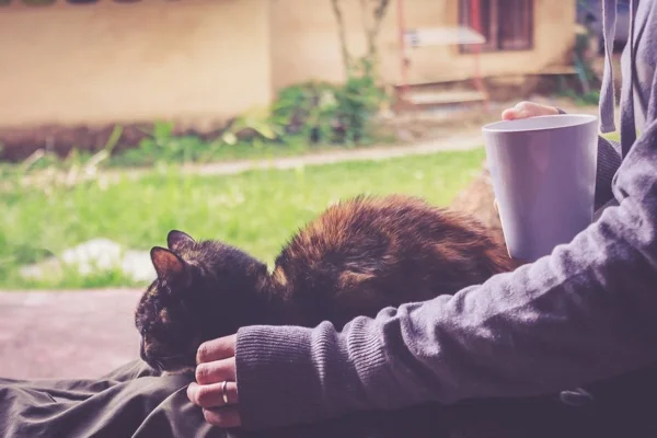 Paying Attention: Living Conversations With God