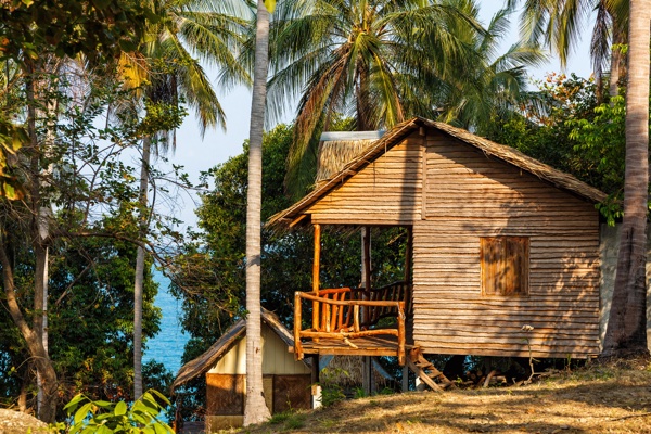 A Monkey Stole My Dignity (And a Few Other Things): How to Cross Cultures Gracefully