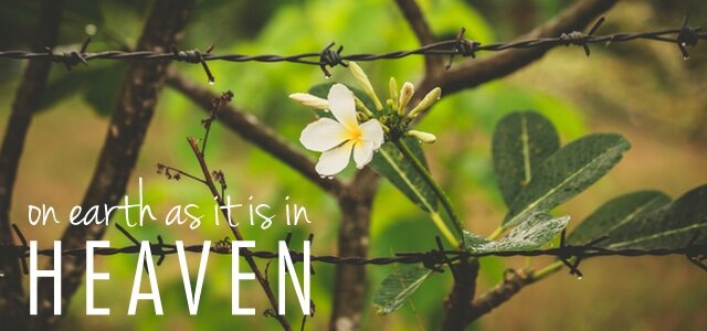 KINGDOM IN OUR HEARTS: Willing to Be Wounded