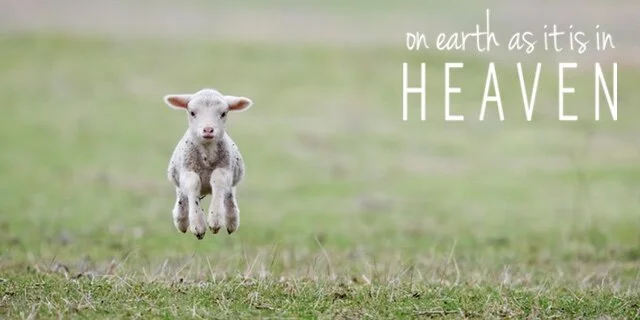 KINGDOM IN OUR HEARTS: Living Like the Lambs