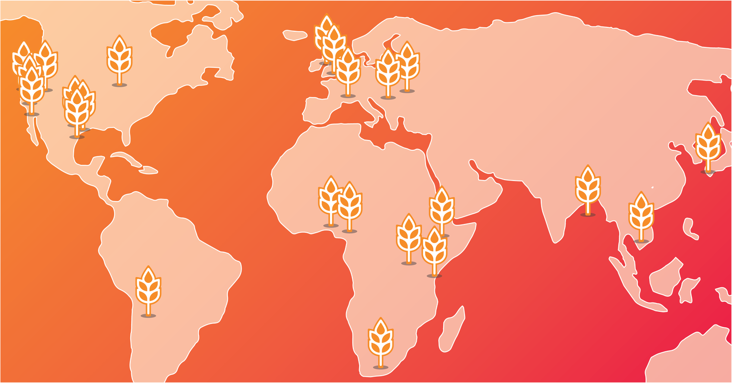 Explore the stories of this extraordinary harvest.