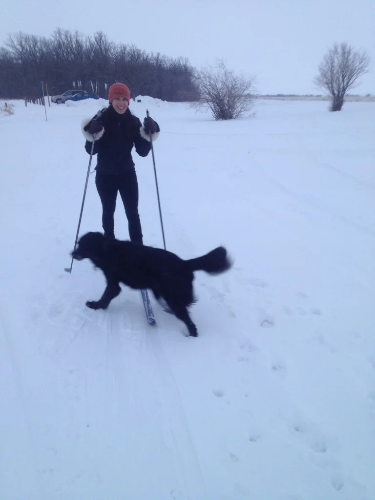 Flex Fitness Cross Country Ski pam.jpg